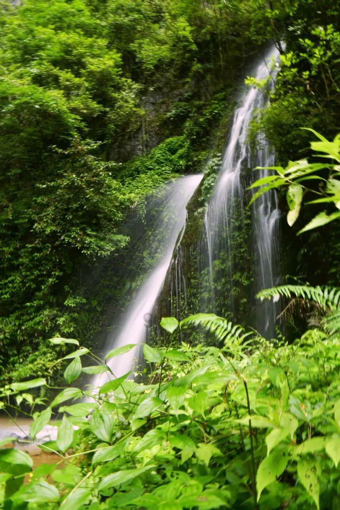 高级定制